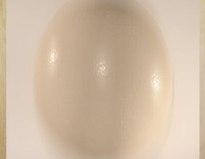 Egg of Columbus anoukart